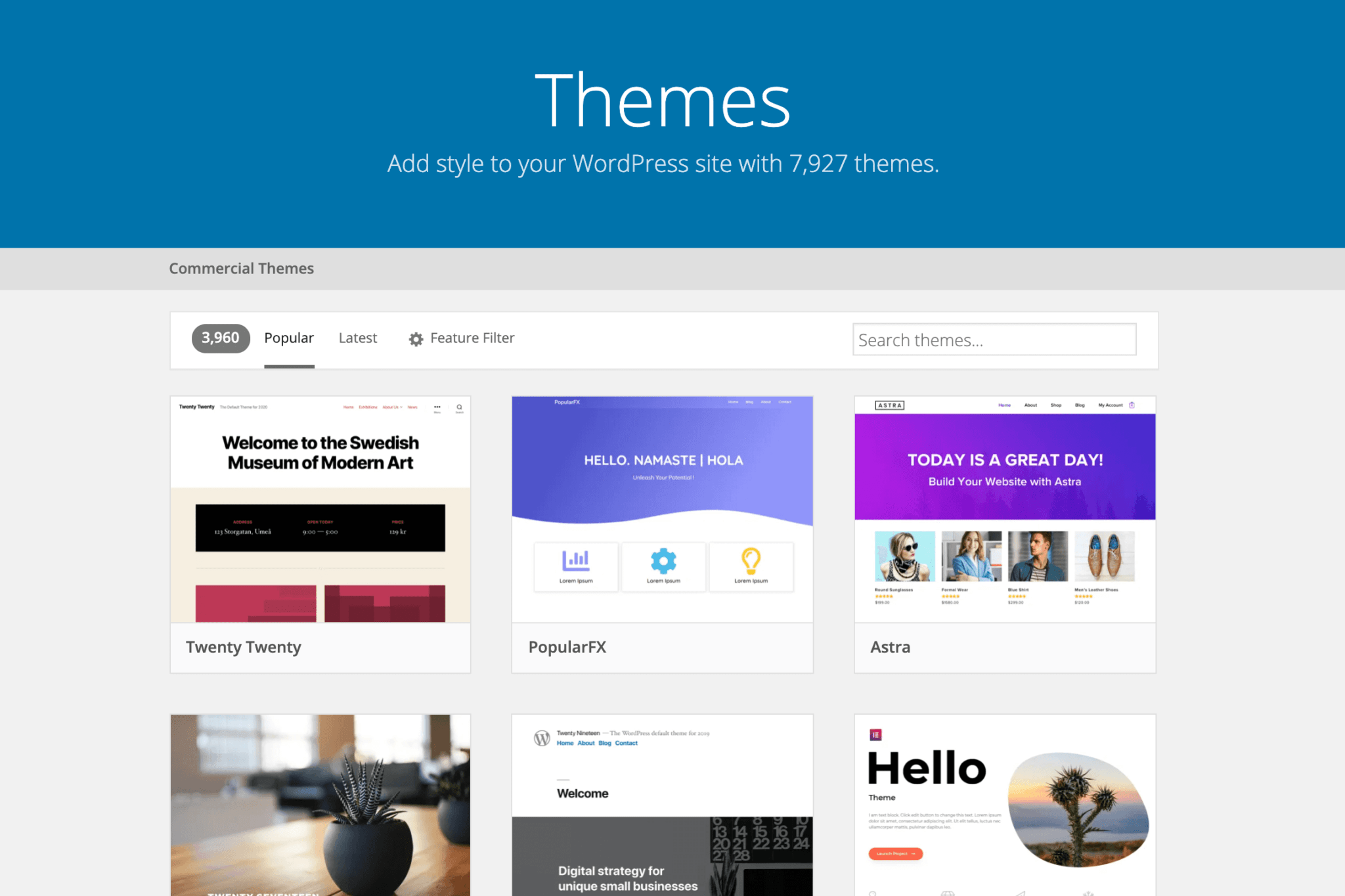 Web development stallions digital solutions